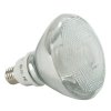 CFL23/50/PAR38 23W SPIRAL PAR38 5000K MED Natural White Flood Replaces 90w par38 incandescent
