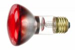 r20red50