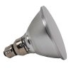 HP38FL60 60W PAR38 FL 2500 HR 130V Prism flood lamp Replaces BR38 incandescent