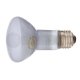 R20FL60/ND
