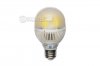 12 Volt LED Bulb