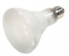 75BR30/FL/HAL Nickel plated brass base. High lumen output. Brilliant white light. Better color rendering than standard floods. 20% brighter and longer lasting. 130 volts, 75 watts, 900 lumens, 3000 kelvin.