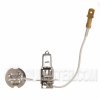 ja12v-55wd/ip h-3 2000 hours H3 SPOT & FOGLIGHT W/ FLAT TERMINAL Ushio halogen lamp