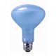 100R30FL/N