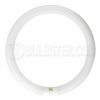 fc12t9/d 32W Day Light Circline T-9 G10Q Base