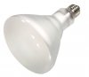 100BR40/FL/HAL Nickel plated brass base. High lumen output. Brilliant white light. Better color rendering than standard floods. 20% brighter and longer lasting. 120 volts, 100 watts, 1400 lumens, 3000 kelvin.