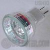 MR-8 12V-20W/N/FG Ushio halogen lamp