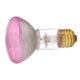 R20DPNK50