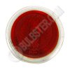 FND/FG Red Ushio Popstar MR-16 series with Red colored dichroic glass Ushio halogen lamp