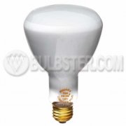 ER-Type Incandescent