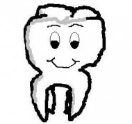 Dental Bulbs and Dental Lamps Dental Bulbs and Dental Lamps