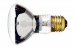 R20CL100/12V