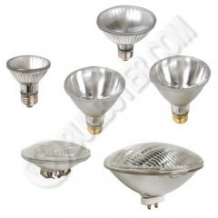 PAR Light Bulbs