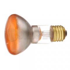R20 Shape Colored Bulbs