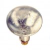 250BR40H/TF 250W HEAT TOUGHCOAT CLEAR Shatter resistant