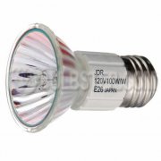E26 Medium (Standard) Base