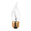 25EFC/2 25W STD.FLAM.CL.120V. Long life.