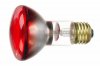 r20red50 50W R20 FL RED 130V