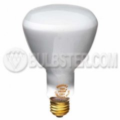 ER-Type Incandescent