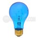 A19BLU25T