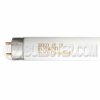 F17T8/741K 17W Rapid Start 4100K 70+ CRI T-8 Medium Bi-pin 24"