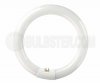 fc8t9/d 22W Day Light Circline T-9 G10Q Base