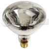 R40FL300/12V