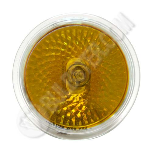 FNC/FG Yellow - Click Image to Close